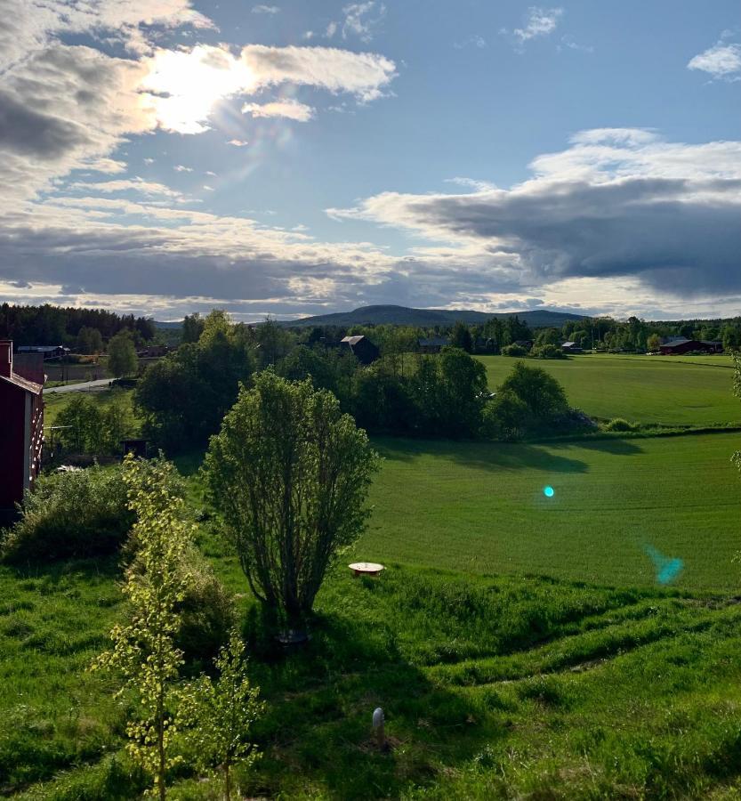 Haga Mini Leilighet Enånger Eksteriør bilde